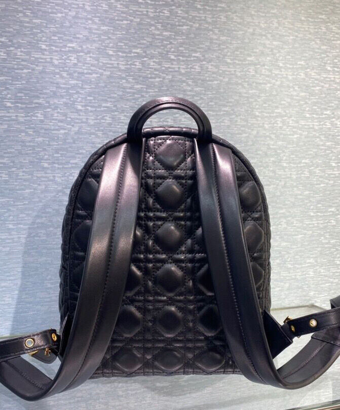 Christian Dior Small Dior Backpack Black